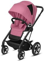 Black Frame Magnolia Pink